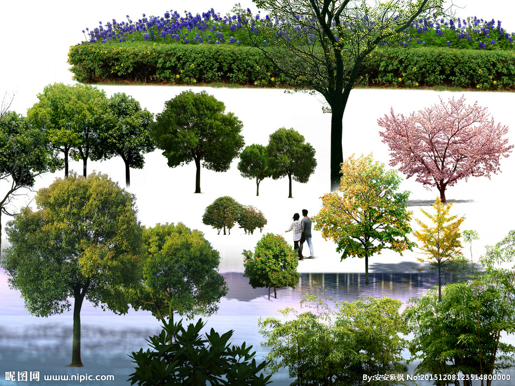 庭院素材與園林設計的融合藝術